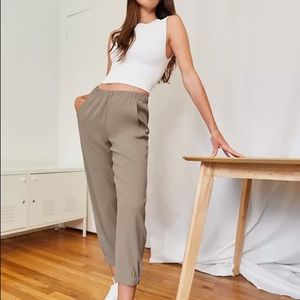 Aritzia Babaton Dexter Pant
